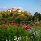 Landesgartenschau in Bad Iburg