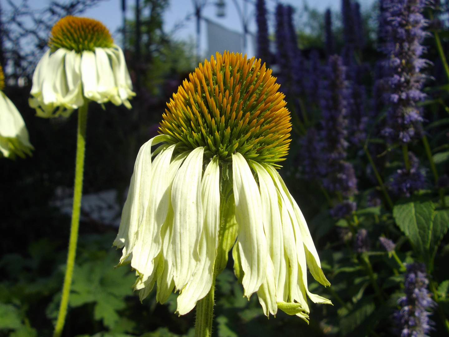 Landesgartenschau in Bamberg