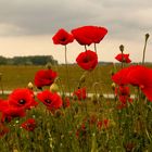 Landesgartenschau in Deggendorf