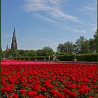 Landesgartenschau in Schleswig