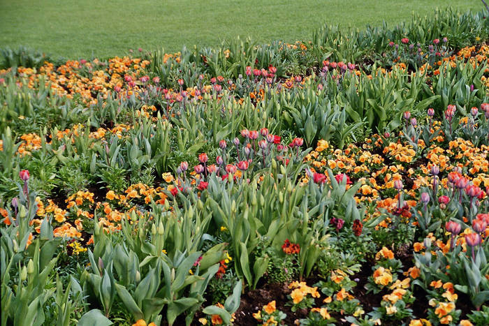 Landesgartenschau in Winsen / Luhe