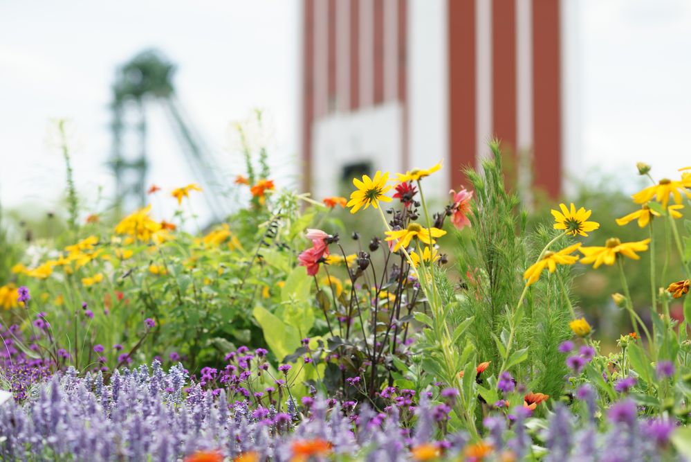 Landesgartenschau Kamp-Lintfort 2020