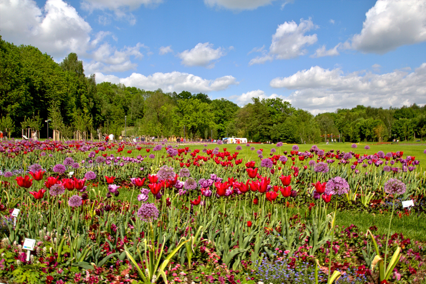 Landesgartenschau Löbau