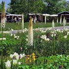 Landesgartenschau Oelsnitz (1) [BF]