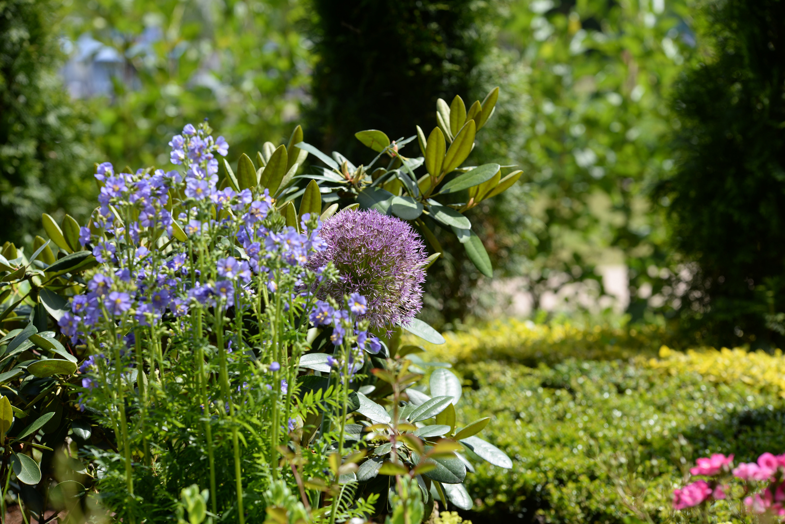 Landesgartenschau Papenburg