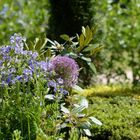 Landesgartenschau Papenburg