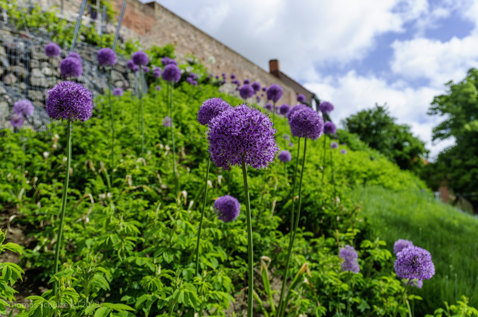 Landesgartenschau Prenzlau 2013 - an der Stadtmauer