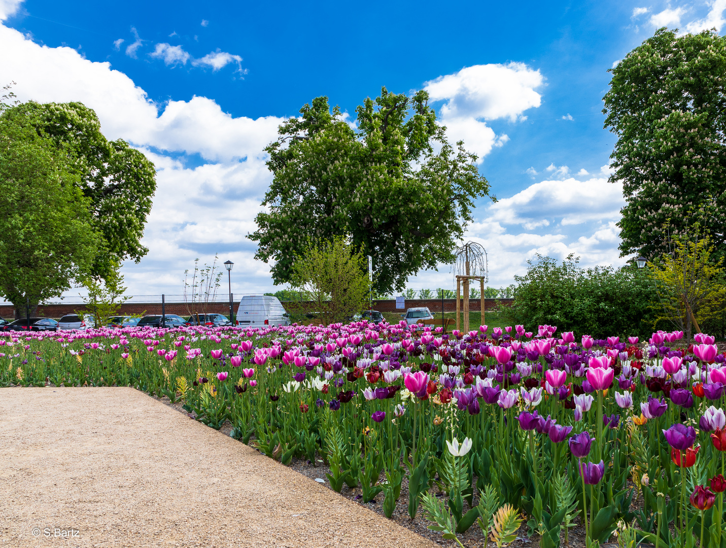 Landesgartenschau Torgau _2022_02