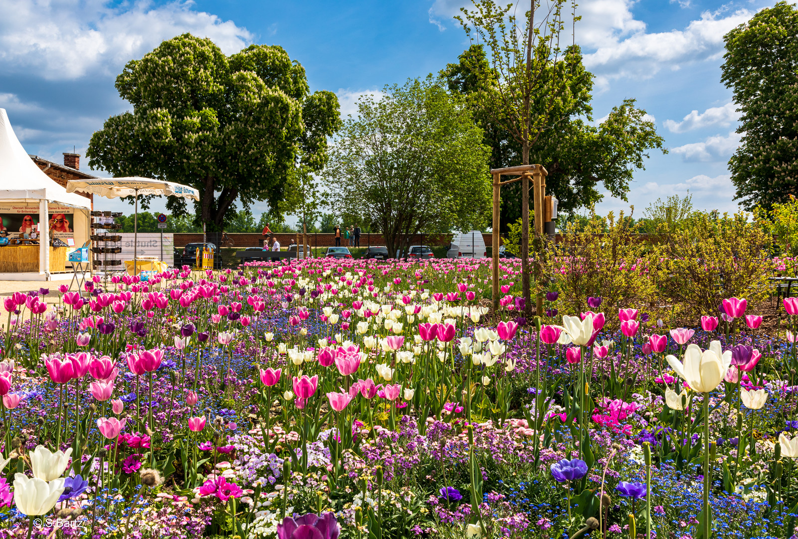 Landesgartenschau Torgau _2022_03