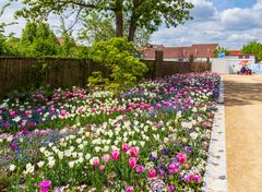 Landesgartenschau Torgau _2022_04
