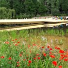 Landesgartenschau Wassertrüdingen II 