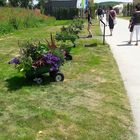 Landesgartenschau Wassertrüdingen: Schubkarrenparade