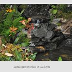 Landesgartenschaue in Oelsnitz