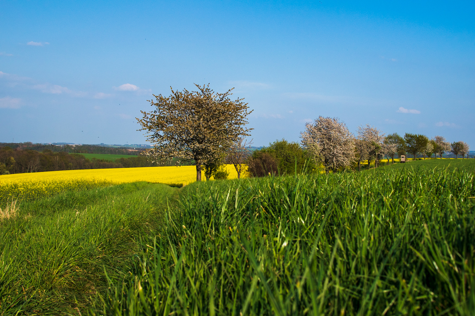 Landesgrenze Sachsen / Thüringen II