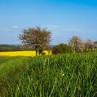 Landesgrenze Sachsen / Thüringen II