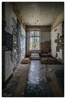 Landesirrenanstalt Domjüch/ Artbase 2019