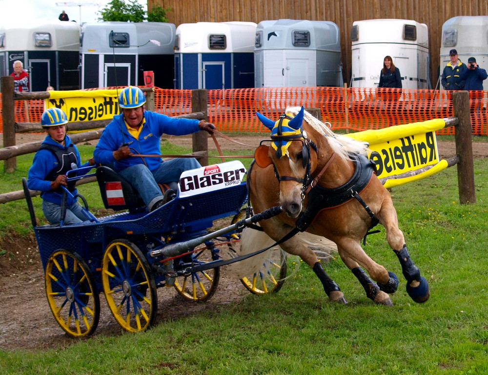 Landesmeisterschaft 2009 in Seekirchen beim Moser Georg