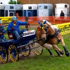 Landesmeisterschaft 2009 in Seekirchen beim Moser Georg