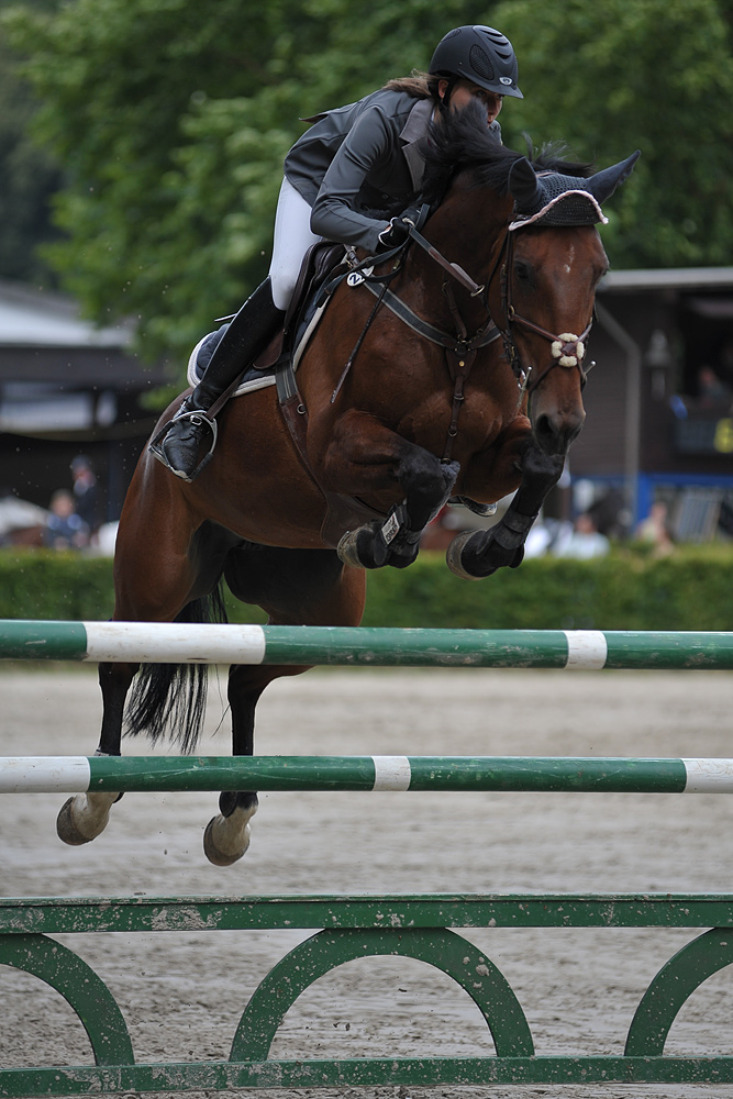 Landesmeisterschaften Springreiten RLP 01