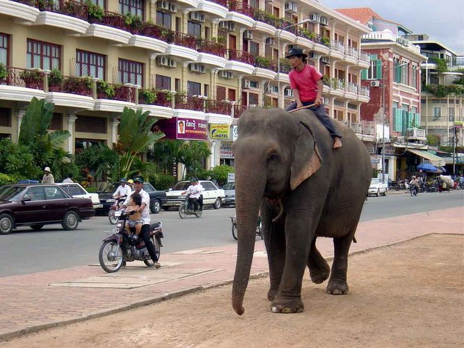 Landestypisches Verkehrsmittel in Phnom Penh