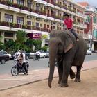 Landestypisches Verkehrsmittel in Phnom Penh