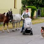 Landfrau, multitaskingfähig