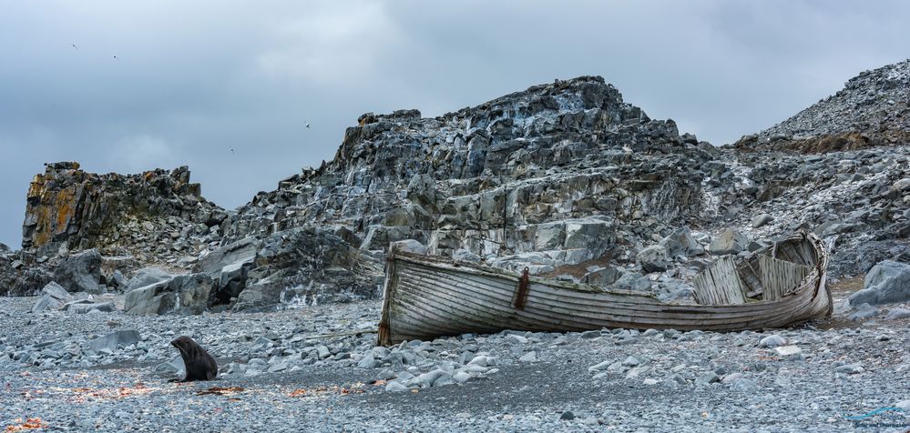 Landgang auf Half Moon Island