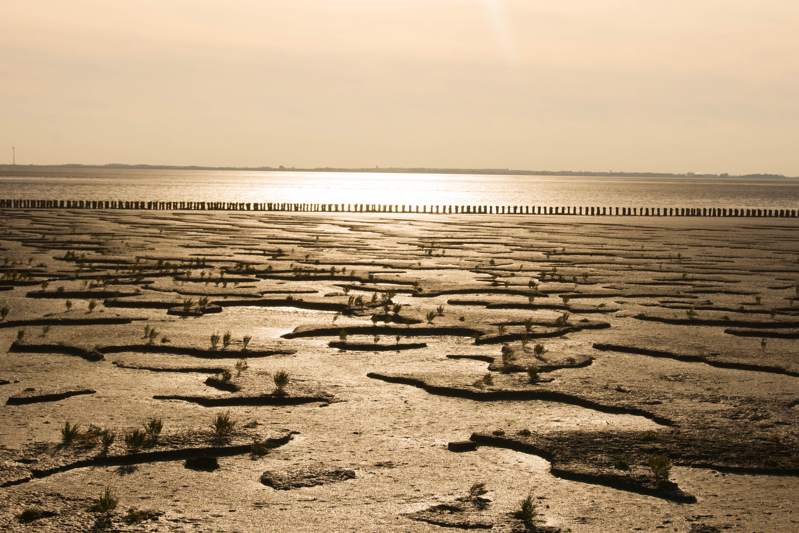 Landgewinnung an der Nordsee