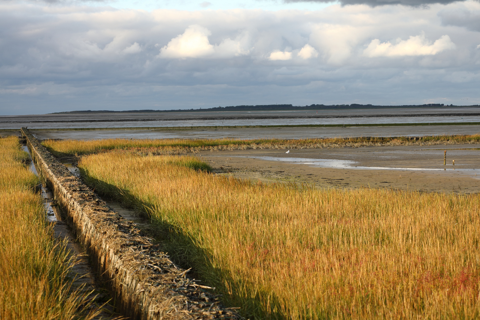 Landgewinnung an der Nordseeküste