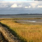 Landgewinnung an der Nordseeküste