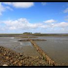 Landgewinnung auf Föhr 2