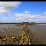 Landgewinnung auf Föhr