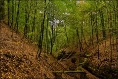 Landgrafenschlucht