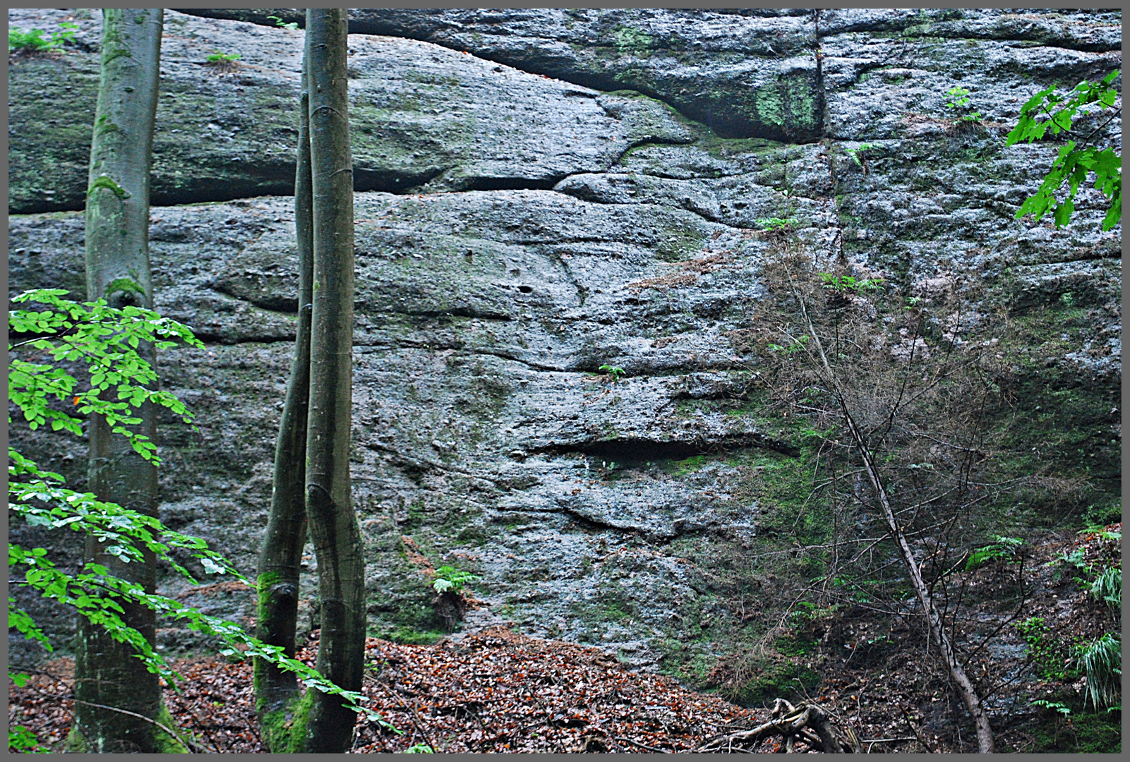 Landgrafenschlucht... 2