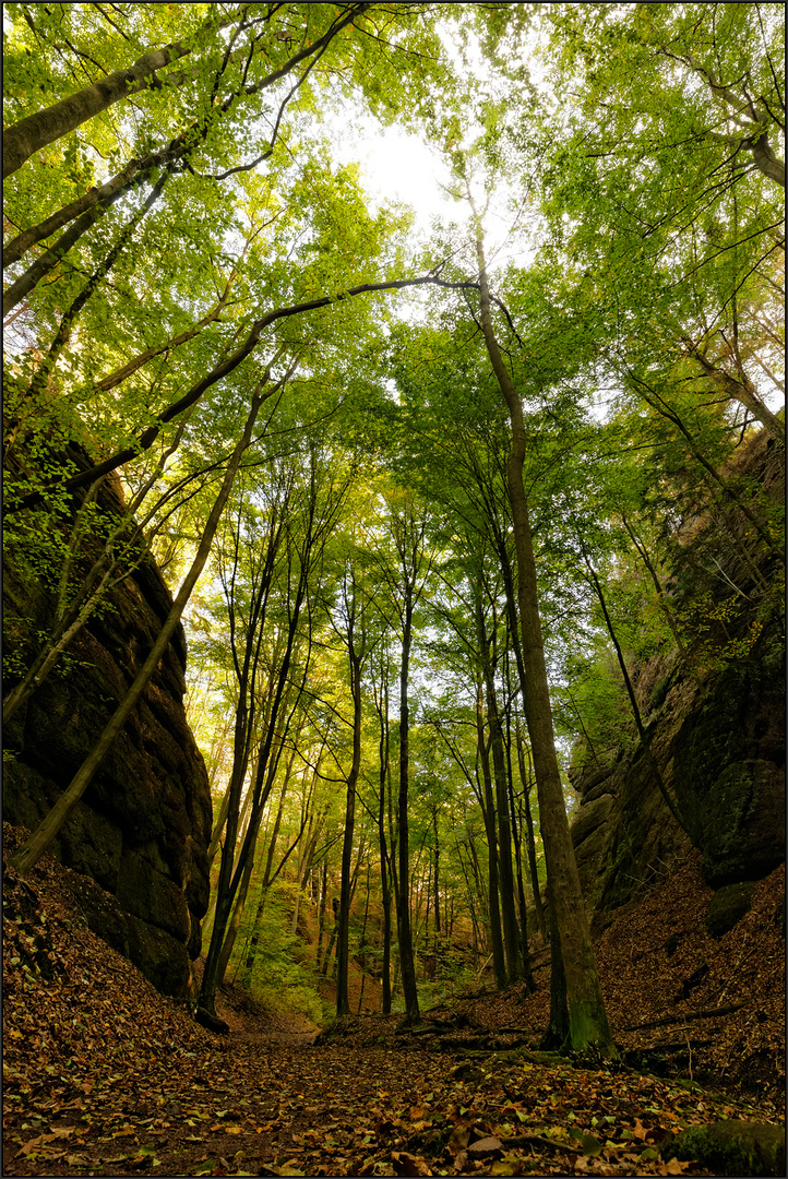 Landgrafenschlucht -II-