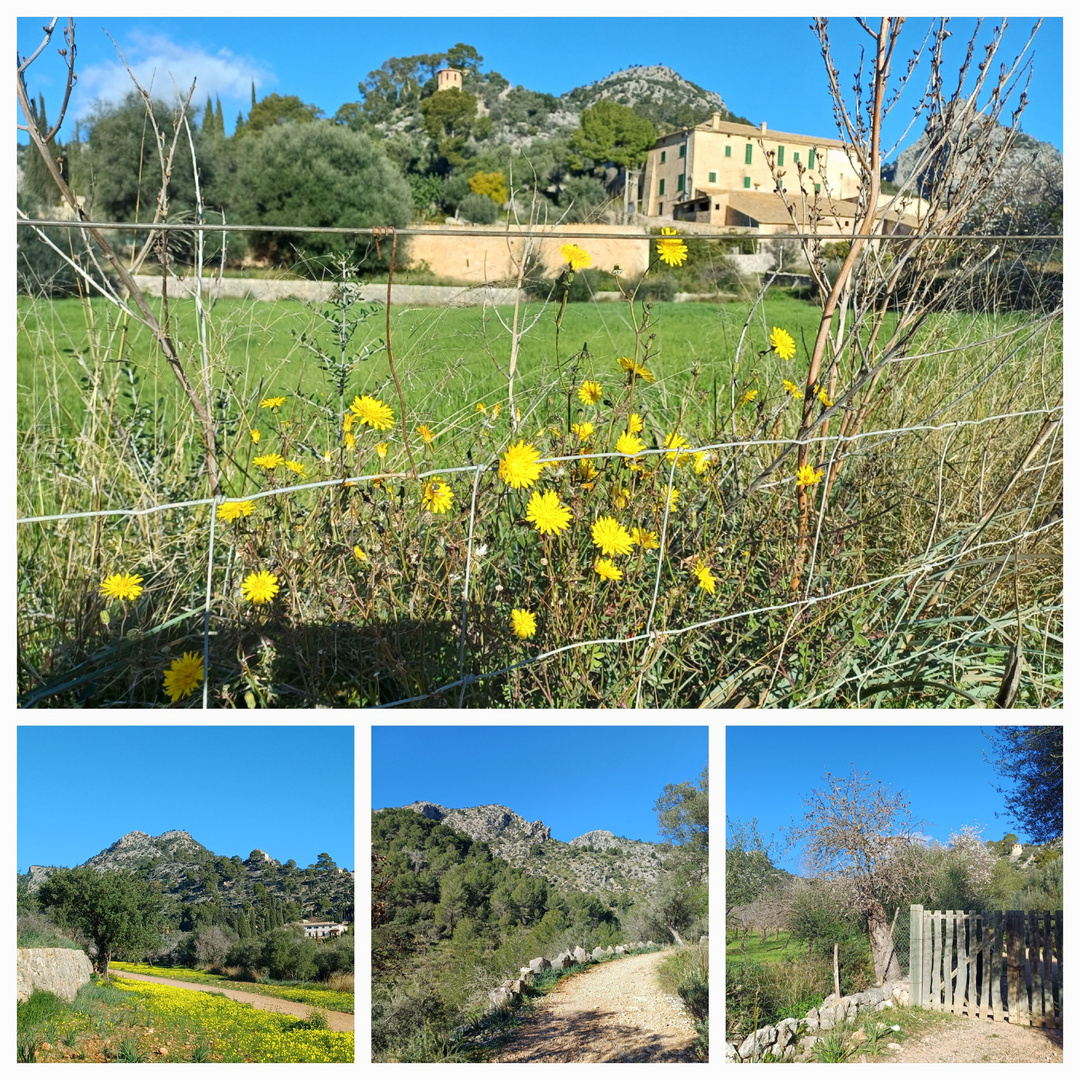 Landgut Raixa/ Mallorca 