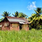 Landhaus auf Barbados