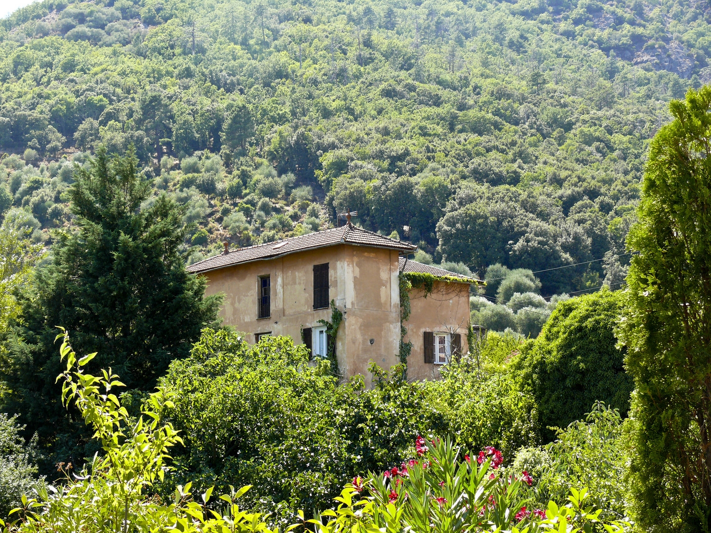 Landhaus bei Corte