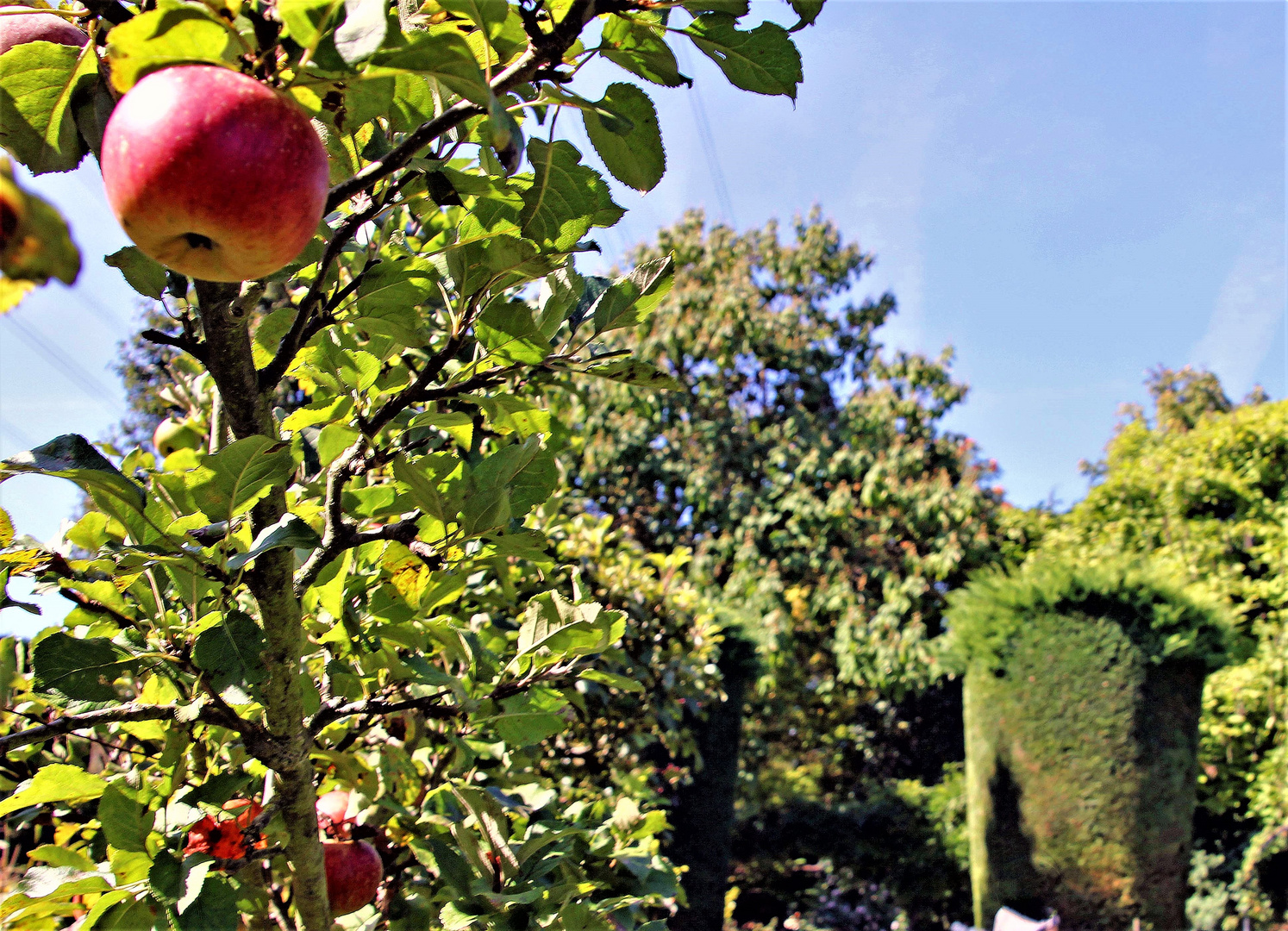 Landhaus Ettenbühl Foto & Bild deutschland, europe, baden