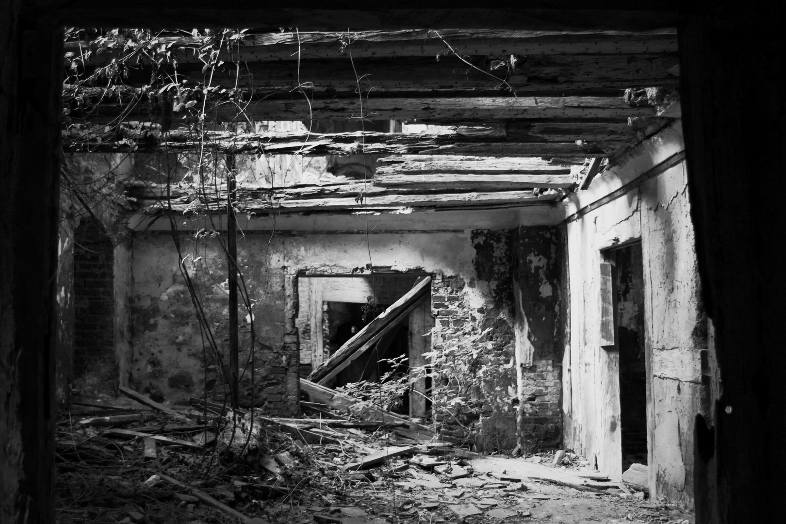 Landhaus Ruine II.....