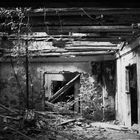 Landhaus Ruine II.....