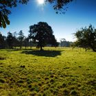 Landherbst