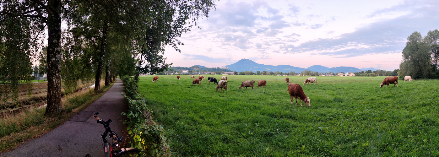 LANDIDYLLE am Salzburger Stadtrand