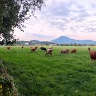 LANDIDYLLE am Salzburger Stadtrand