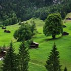 Landidylle vor Lauterbrunnen