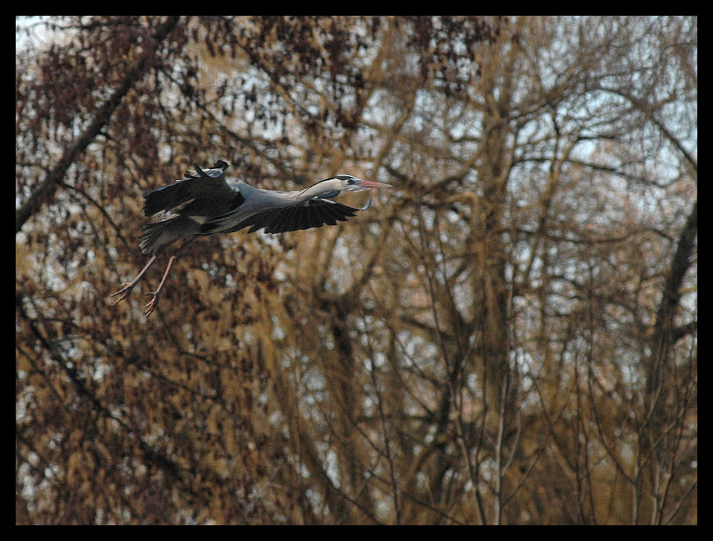 landing