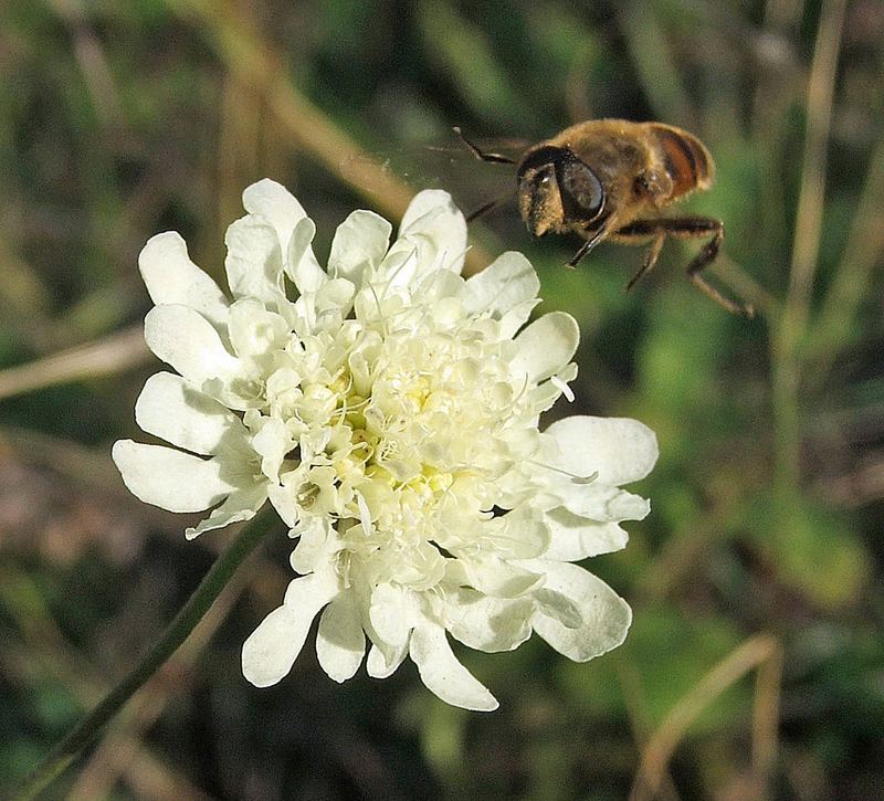 Landing