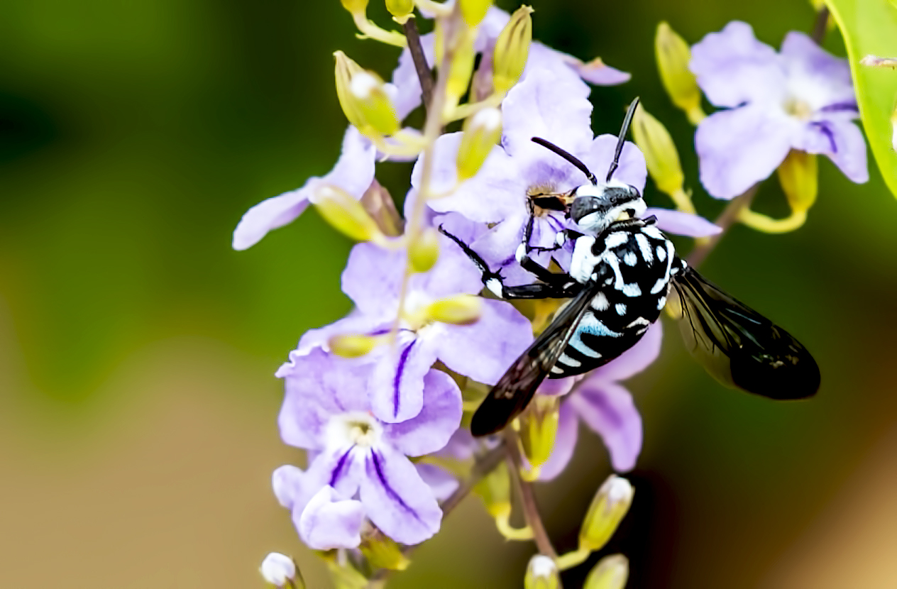 Landing