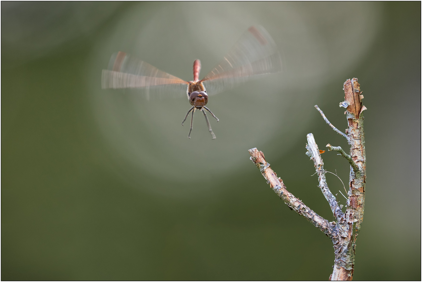 Landing