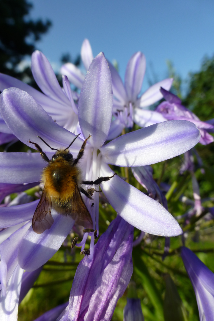 landing